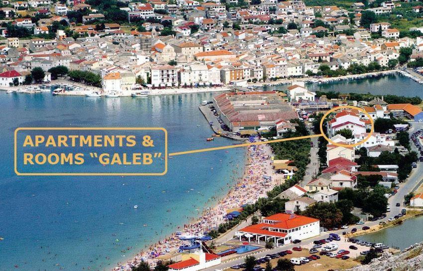 Villa Galeb Pag - At The Main Beach باغ المظهر الخارجي الصورة